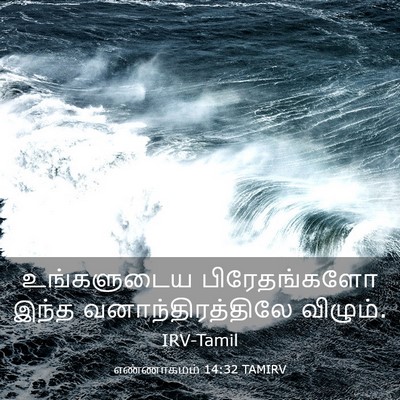 Picture 03 - எண்ணாகமம் 14:32 TAMIRV - உங்களுடைய - Bible Verse Picture