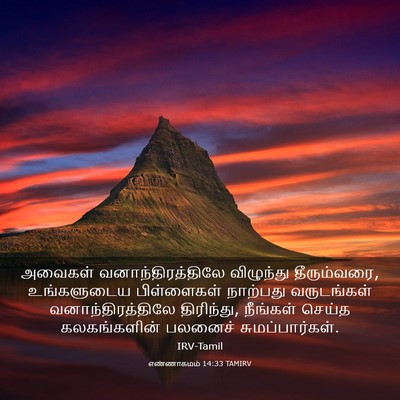 Picture 03 - எண்ணாகமம் 14:33 TAMIRV - அவைகள் - Bible Verse Picture