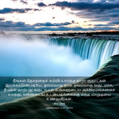 Picture 03 - எண்ணாகமம் 14:34 TAMIRV - நீங்கள் தேசத்தைச் - Bible Verse Picture
