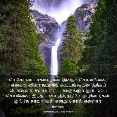 Picture 03 - எண்ணாகமம் 14:35 TAMIRV - யெகோவாவாகிய நான் - Bible Verse Picture