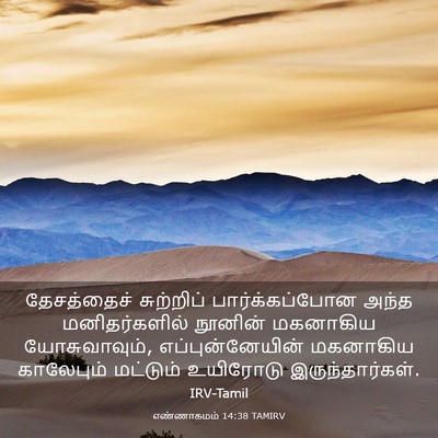 Picture 03 - எண்ணாகமம் 14:38 TAMIRV - தேசத்தைச் - Bible Verse Picture