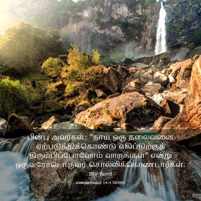 Picture 03 - எண்ணாகமம் 14:4 TAMIRV - பின்பு அவர்கள்: - Bible Verse Picture