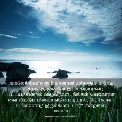 Picture 03 - எண்ணாகமம் 14:43 TAMIRV - அமலேக்கியர்களும் - Bible Verse Picture