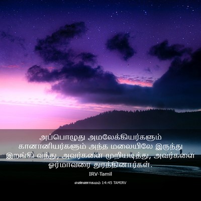 Picture 03 - எண்ணாகமம் 14:45 TAMIRV - அப்பொழுது - Bible Verse Picture