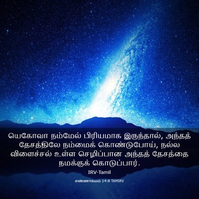 Picture 03 - எண்ணாகமம் 14:8 TAMIRV - யெகோவா நம்மேல் - Bible Verse Picture