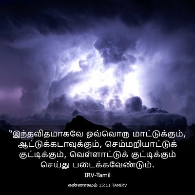 Picture 03 - எண்ணாகமம் 15:11 TAMIRV - “இந்தவிதமாகவே - Bible Verse Picture