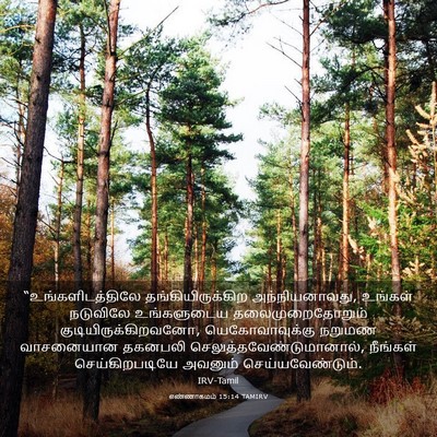 Picture 03 - எண்ணாகமம் 15:14 TAMIRV - “உங்களிடத்திலே - Bible Verse Picture