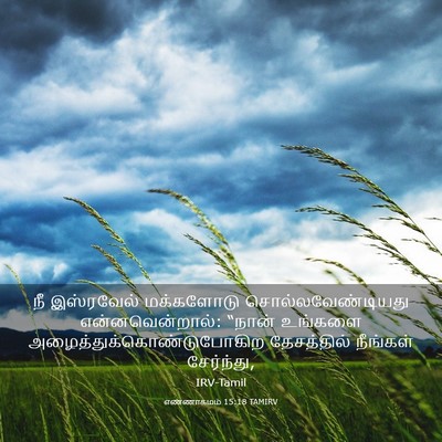 Picture 03 - எண்ணாகமம் 15:18 TAMIRV - நீ இஸ்ரவேல் - Bible Verse Picture