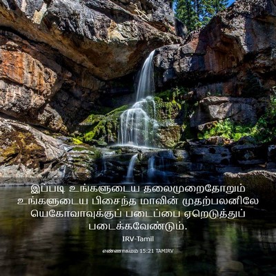 Picture 03 - எண்ணாகமம் 15:21 TAMIRV - இப்படி உங்களுடைய - Bible Verse Picture
