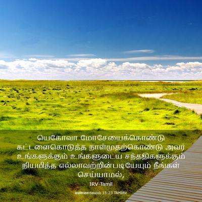 Picture 03 - எண்ணாகமம் 15:23 TAMIRV - யெகோவா - Bible Verse Picture