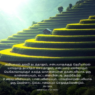 Picture 03 - எண்ணாகமம் 15:24 TAMIRV - அறியாமல் தவறி - Bible Verse Picture