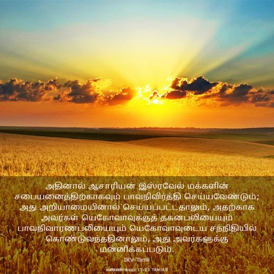 Picture 03 - எண்ணாகமம் 15:25 TAMIRV - அதினால் ஆசாரியன் - Bible Verse Picture