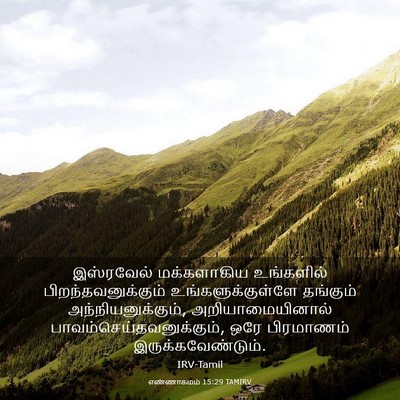 Picture 03 - எண்ணாகமம் 15:29 TAMIRV - இஸ்ரவேல் - Bible Verse Picture
