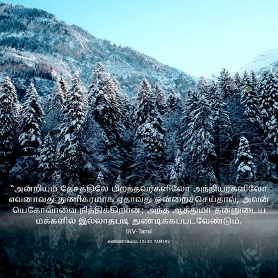 Picture 03 - எண்ணாகமம் 15:30 TAMIRV - “அன்றியும் - Bible Verse Picture