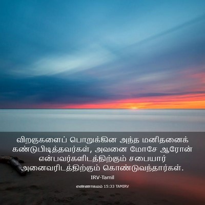 Picture 03 - எண்ணாகமம் 15:33 TAMIRV - விறகுகளைப் - Bible Verse Picture