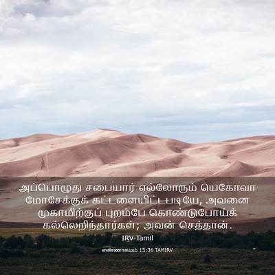 Picture 03 - எண்ணாகமம் 15:36 TAMIRV - அப்பொழுது சபையார் - Bible Verse Picture