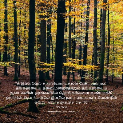 Picture 03 - எண்ணாகமம் 15:38 TAMIRV - “நீ இஸ்ரவேல் - Bible Verse Picture