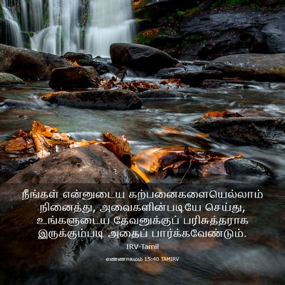 Picture 03 - எண்ணாகமம் 15:40 TAMIRV - நீங்கள் என்னுடைய - Bible Verse Picture