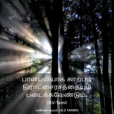 Picture 03 - எண்ணாகமம் 15:5 TAMIRV - பானபலியாக காற்படி - Bible Verse Picture