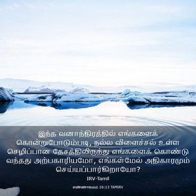 Picture 03 - எண்ணாகமம் 16:13 TAMIRV - இந்த - Bible Verse Picture