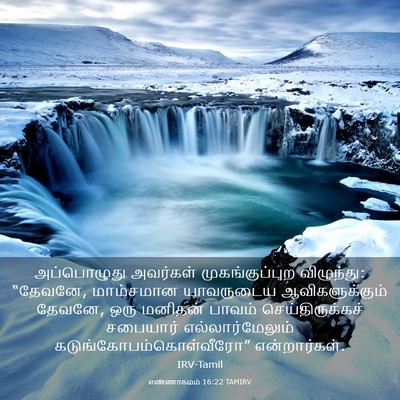 Picture 03 - எண்ணாகமம் 16:22 TAMIRV - அப்பொழுது அவர்கள் - Bible Verse Picture