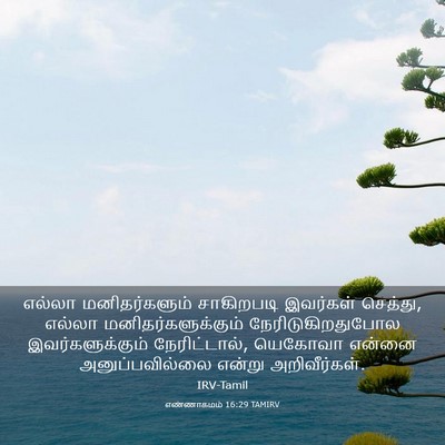 Picture 03 - எண்ணாகமம் 16:29 TAMIRV - எல்லா மனிதர்களும் - Bible Verse Picture