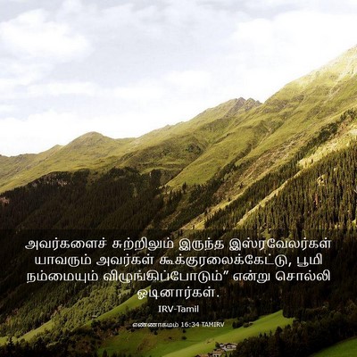 Picture 03 - எண்ணாகமம் 16:34 TAMIRV - அவர்களைச் - Bible Verse Picture