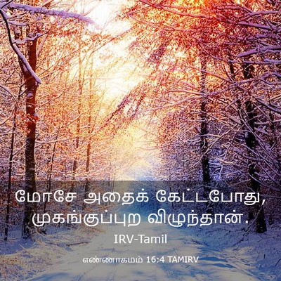 Picture 03 - எண்ணாகமம் 16:4 TAMIRV - மோசே அதைக் - Bible Verse Picture