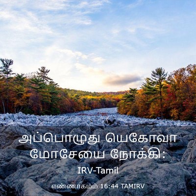 Picture 03 - எண்ணாகமம் 16:44 TAMIRV - அப்பொழுது யெகோவா - Bible Verse Picture