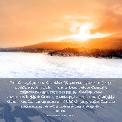 Picture 03 - எண்ணாகமம் 16:46 TAMIRV - மோசே ஆரோனை நோக்கி: - Bible Verse Picture