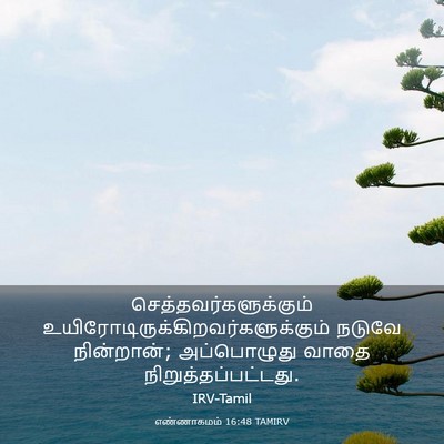 Picture 03 - எண்ணாகமம் 16:48 TAMIRV -  - Bible Verse Picture