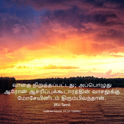 Picture 03 - எண்ணாகமம் 16:50 TAMIRV - வாதை - Bible Verse Picture