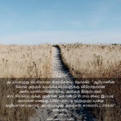 Picture 03 - எண்ணாகமம் 17:10 TAMIRV - அப்பொழுது யெகோவா - Bible Verse Picture