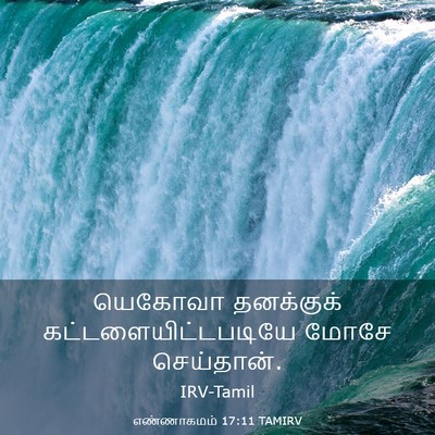 Picture 03 - எண்ணாகமம் 17:11 TAMIRV - யெகோவா தனக்குக் - Bible Verse Picture