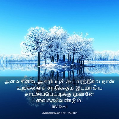 Picture 03 - எண்ணாகமம் 17:4 TAMIRV - அவைகளை ஆசரிப்புக் - Bible Verse Picture
