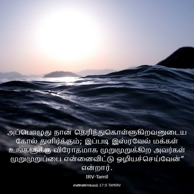 Picture 03 - எண்ணாகமம் 17:5 TAMIRV - அப்பொழுது நான் - Bible Verse Picture