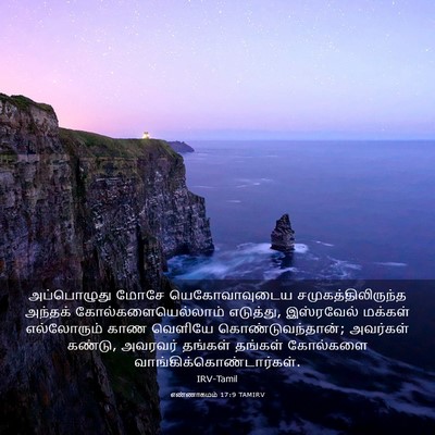 Picture 03 - எண்ணாகமம் 17:9 TAMIRV - அப்பொழுது மோசே - Bible Verse Picture