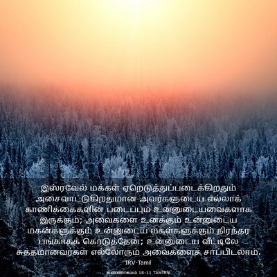 Picture 03 - எண்ணாகமம் 18:11 TAMIRV - இஸ்ரவேல் மக்கள் - Bible Verse Picture