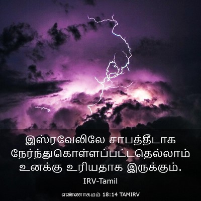 Picture 03 - எண்ணாகமம் 18:14 TAMIRV - இஸ்ரவேலிலே - Bible Verse Picture