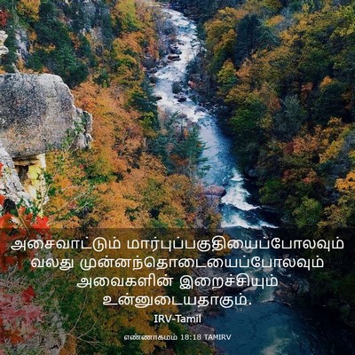 Picture 03 - எண்ணாகமம் 18:18 TAMIRV - அசைவாட்டும் - Bible Verse Picture