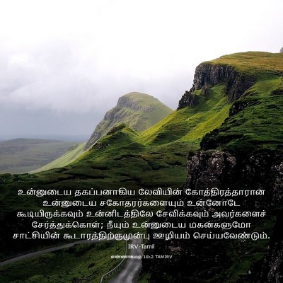 Picture 03 - எண்ணாகமம் 18:2 TAMIRV - உன்னுடைய - Bible Verse Picture