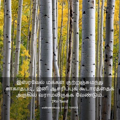 Picture 03 - எண்ணாகமம் 18:22 TAMIRV - இஸ்ரவேல் மக்கள் - Bible Verse Picture
