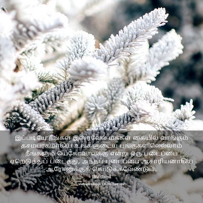 Picture 03 - எண்ணாகமம் 18:28 TAMIRV - இப்படியே நீங்கள் - Bible Verse Picture