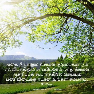 Picture 03 - எண்ணாகமம் 18:31 TAMIRV - அதை நீங்களும் - Bible Verse Picture