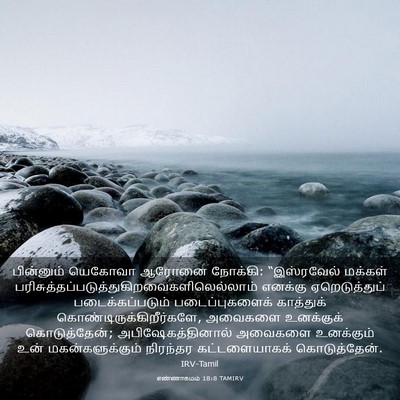 Picture 03 - எண்ணாகமம் 18:8 TAMIRV - பின்னும் யெகோவா - Bible Verse Picture