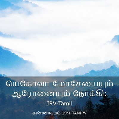 Picture 03 - எண்ணாகமம் 19:1 TAMIRV - யெகோவா மோசேயையும் - Bible Verse Picture