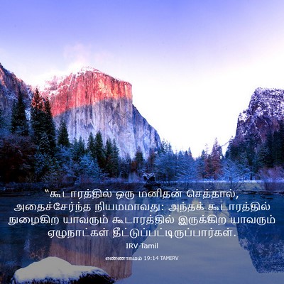 Picture 03 - எண்ணாகமம் 19:14 TAMIRV - “கூடாரத்தில் ஒரு - Bible Verse Picture