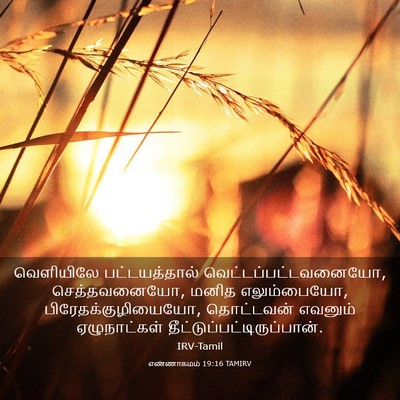 Picture 03 - எண்ணாகமம் 19:16 TAMIRV - வெளியிலே - Bible Verse Picture
