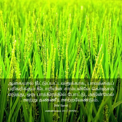 Picture 03 - எண்ணாகமம் 19:17 TAMIRV - ஆகையால் - Bible Verse Picture