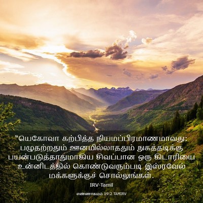 Picture 03 - எண்ணாகமம் 19:2 TAMIRV - “யெகோவா கற்பித்த - Bible Verse Picture